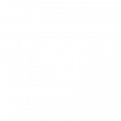 IMM CONSULTING